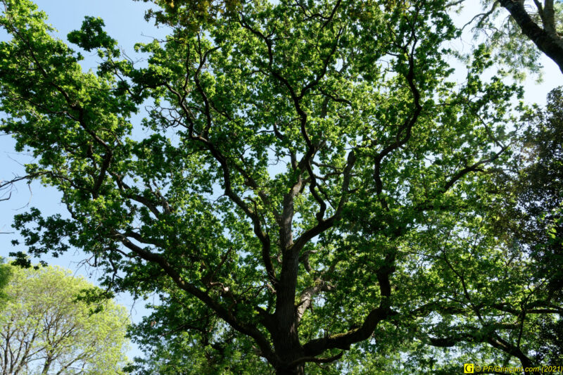 29/04/2021 – Campagne (6)