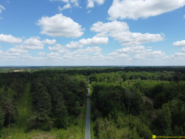 La grande allée, vue d'en haut