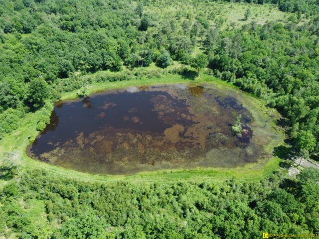 Tout un écosystème