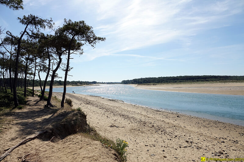 Estuaire - Vue hauteur d'homme