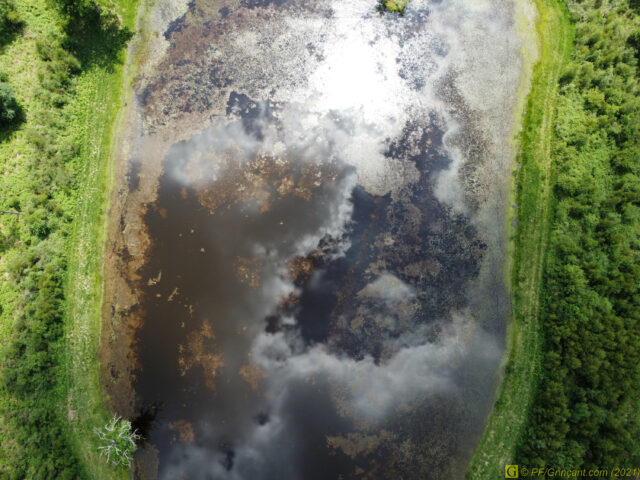 L'étang, vue à hauteur d'oiseau, 120 mètres d'altitude