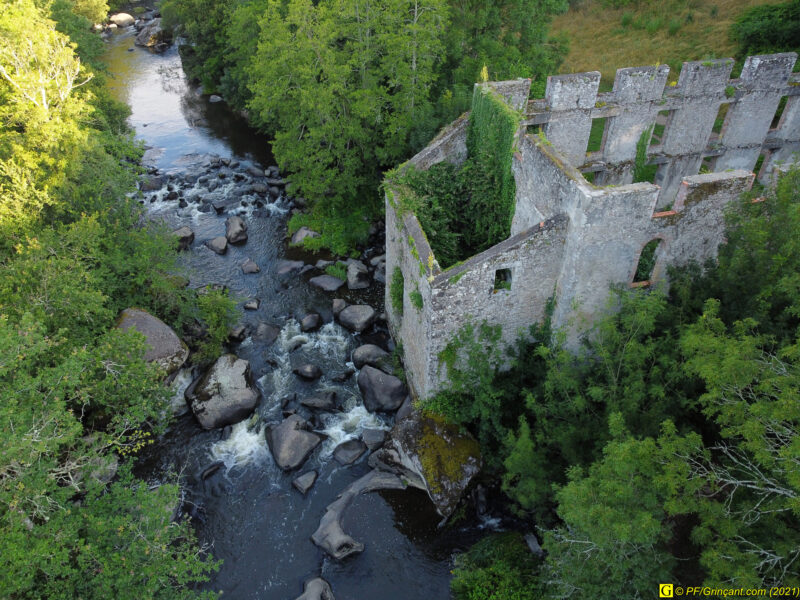 Rivière, filature et vieux chêne (par drone) — 1