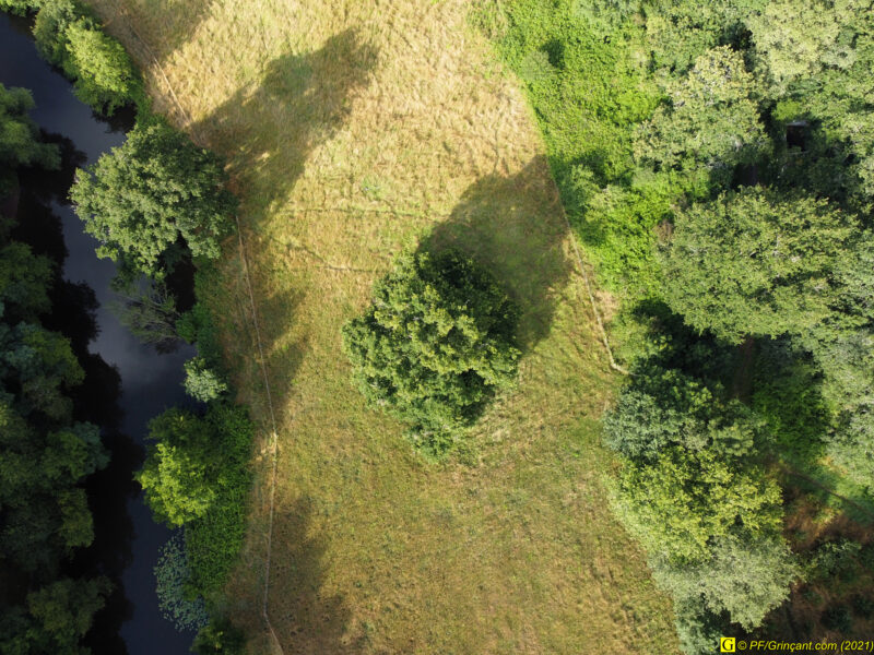 Rivière, filature et vieux chêne (par drone) — 9