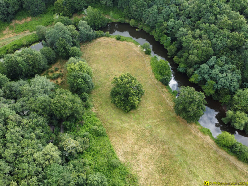 Rivière, filature et vieux chêne (par drone) — 11