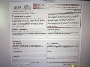 Formulaire requête CEDH à télécharger