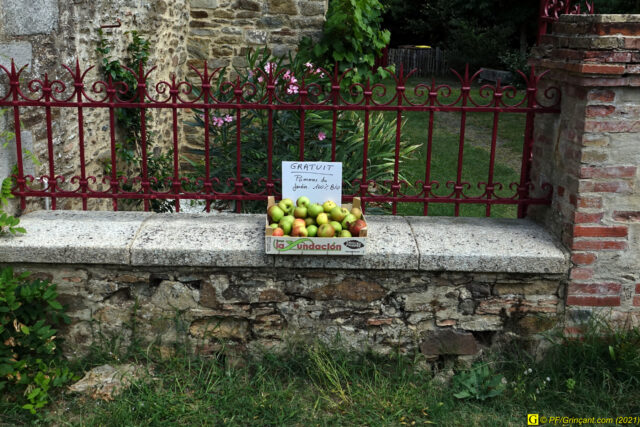 Pommes offertes