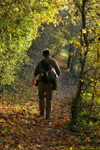 PF/Grinçant sur un chemin de randonnee en automne, le 13/11/2021