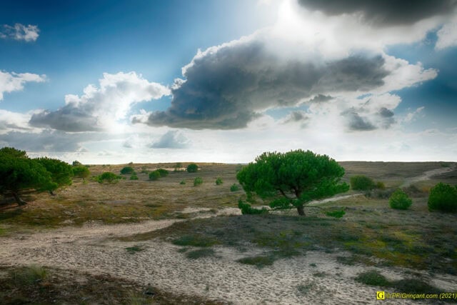 2 – Novembre : la dune