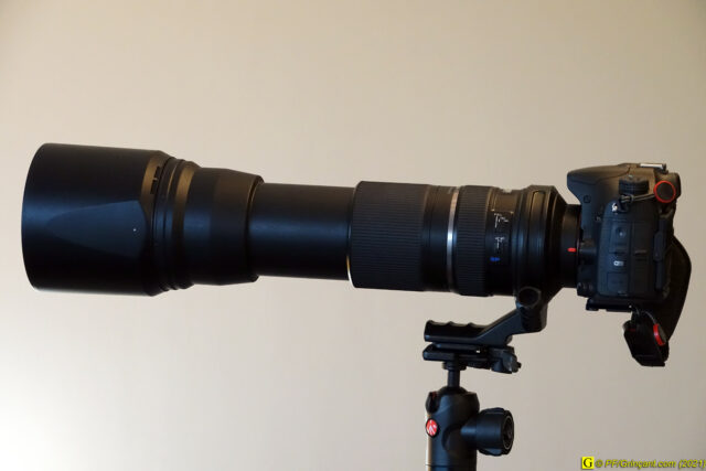 Mon Tamron 150-600 monté sur boîtier APS-C --> 900 mm