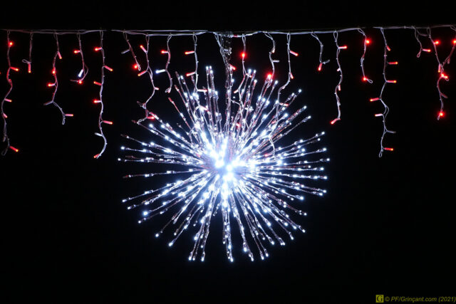 Covid-19, variant de Noël