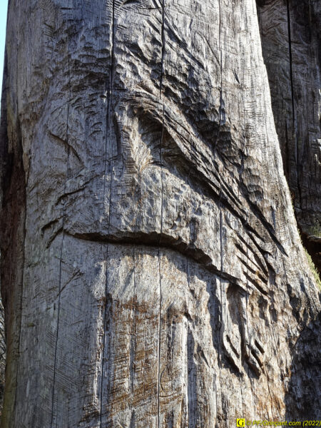 Sculpture sur arbre Les Cinq Jumeaux