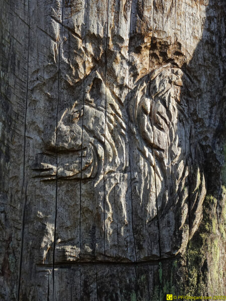 Sculpture sur arbre Les Cinq Jumeaux