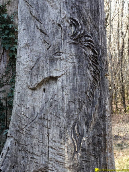 Sculpture sur arbre Les Cinq Jumeaux