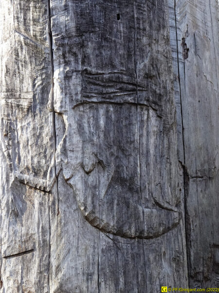 Sculpture sur arbre Les Cinq Jumeaux