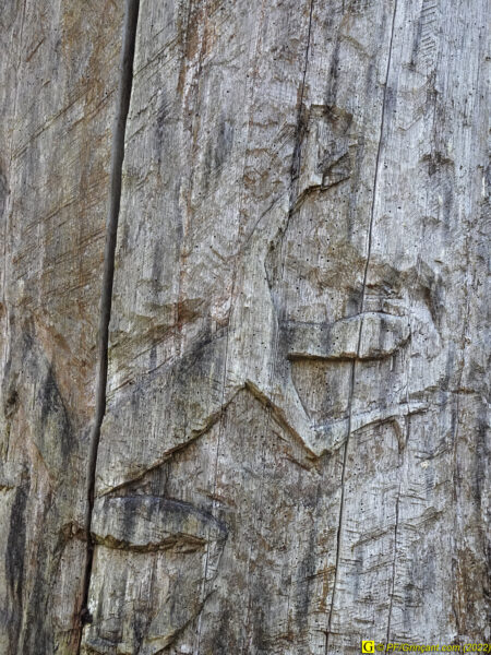 Sculpture sur arbre Les Cinq Jumeaux
