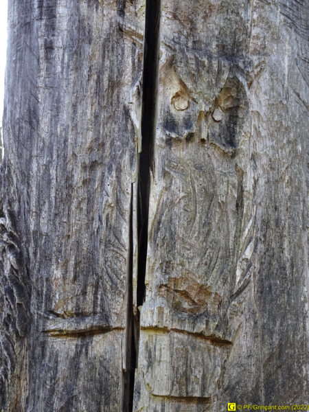 Sculpture sur arbre Les Cinq Jumeaux