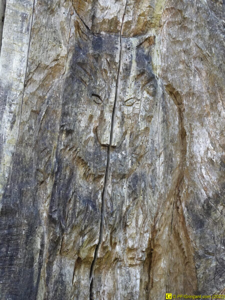 Sculpture sur arbre Les Cinq Jumeaux