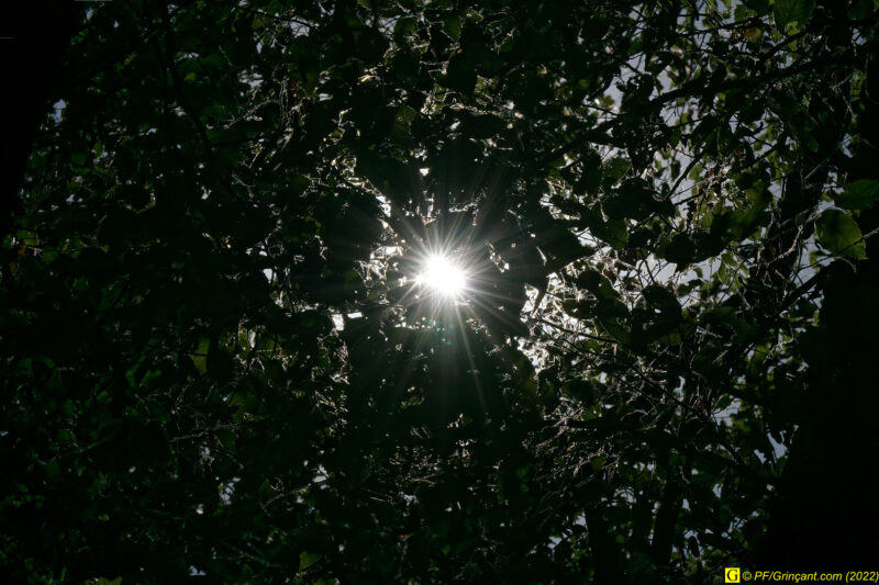 Soleil double
