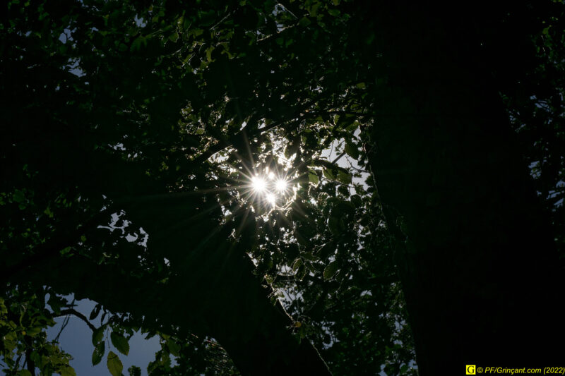 Soleil triple
