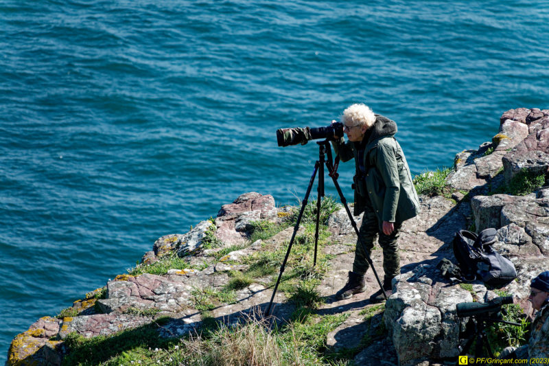 5 – Photographe d'oiseaux