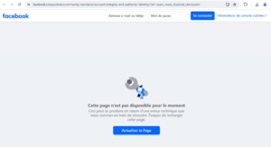 Facebook : .../community-standards/account-integrity-and-authentic-identity