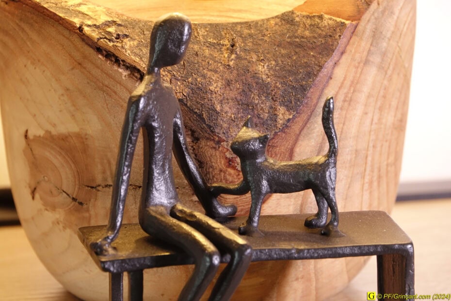 Un chat-fantôme ?