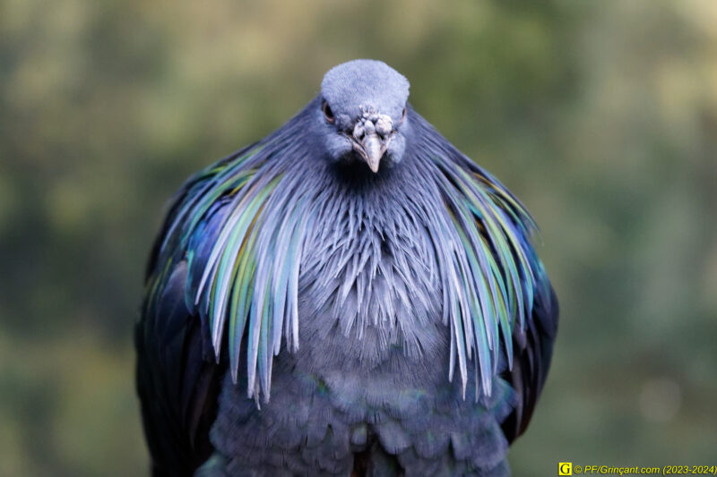 ZooParc de Beauval