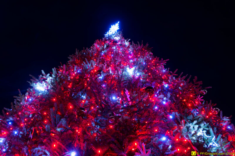 Le sapin de Noël Le sapin de Noël