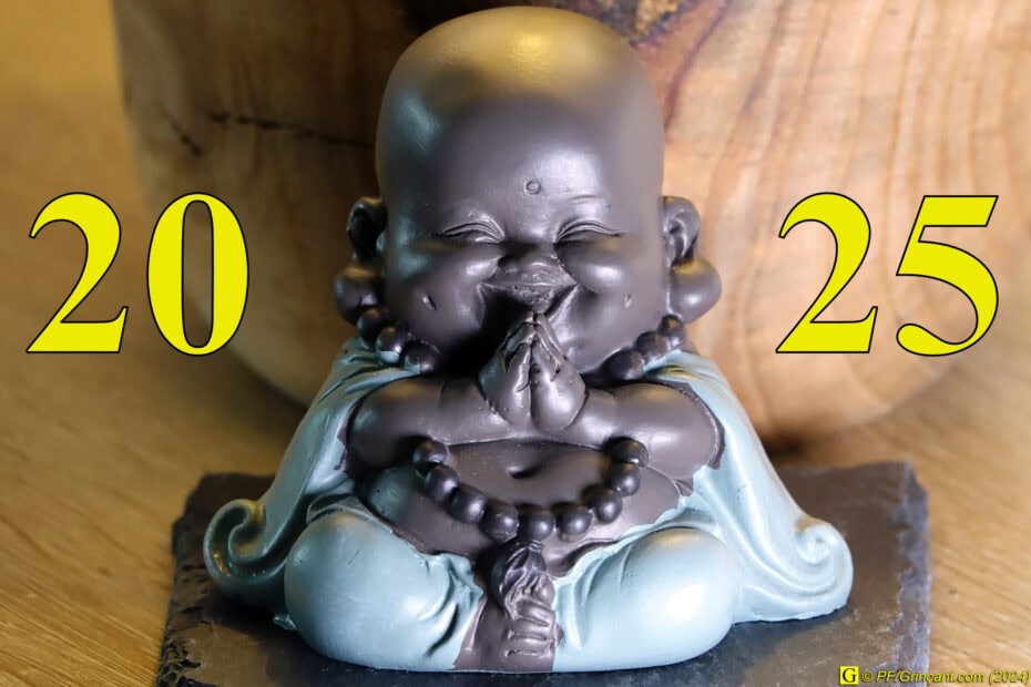 Meilleurs vœux pour 2025 !