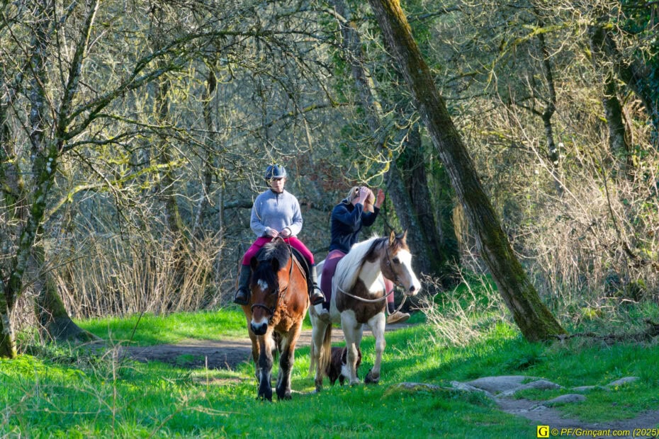 Deux chevaux et deux cavalières