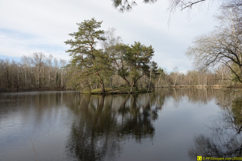 Le premier étang et son île, sur La Goulpinette Le premier étang et son île, sur La Goulpinette