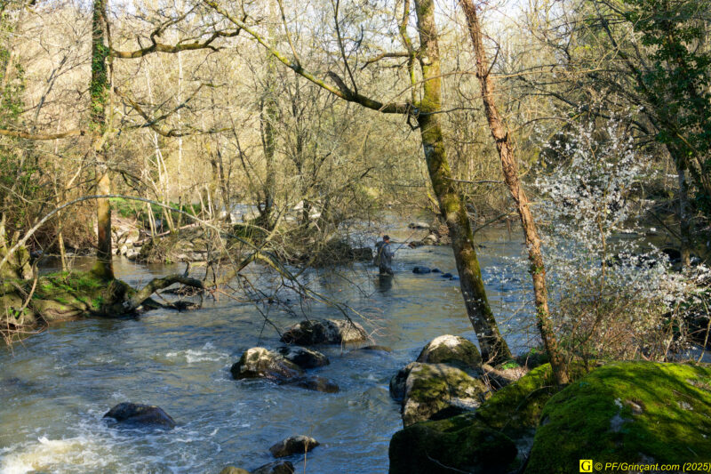 Un pêcheur à la truite