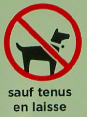 Pictogramme "Chiens interdits sauf tenus en laisse"