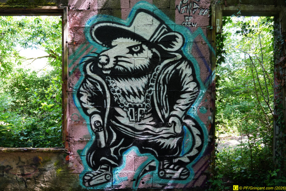Street art : Rat tueur