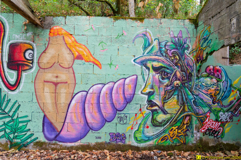 Street art en pleine nature